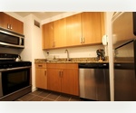 Lower East Side/ Studio/FURNISHED/ Gym/ Roof Deck/ Elevator/ 24 Hour Doorman/ PENTHOUSE