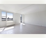 Loft, Studio, 1 and 2 bedroom duplex - No Fee apartments! Prime Williamsburg