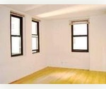 Beautiful Large Studio**Steps from Wall street**Condo Building** Great Investment**steps from south street sea port**stock exchange**